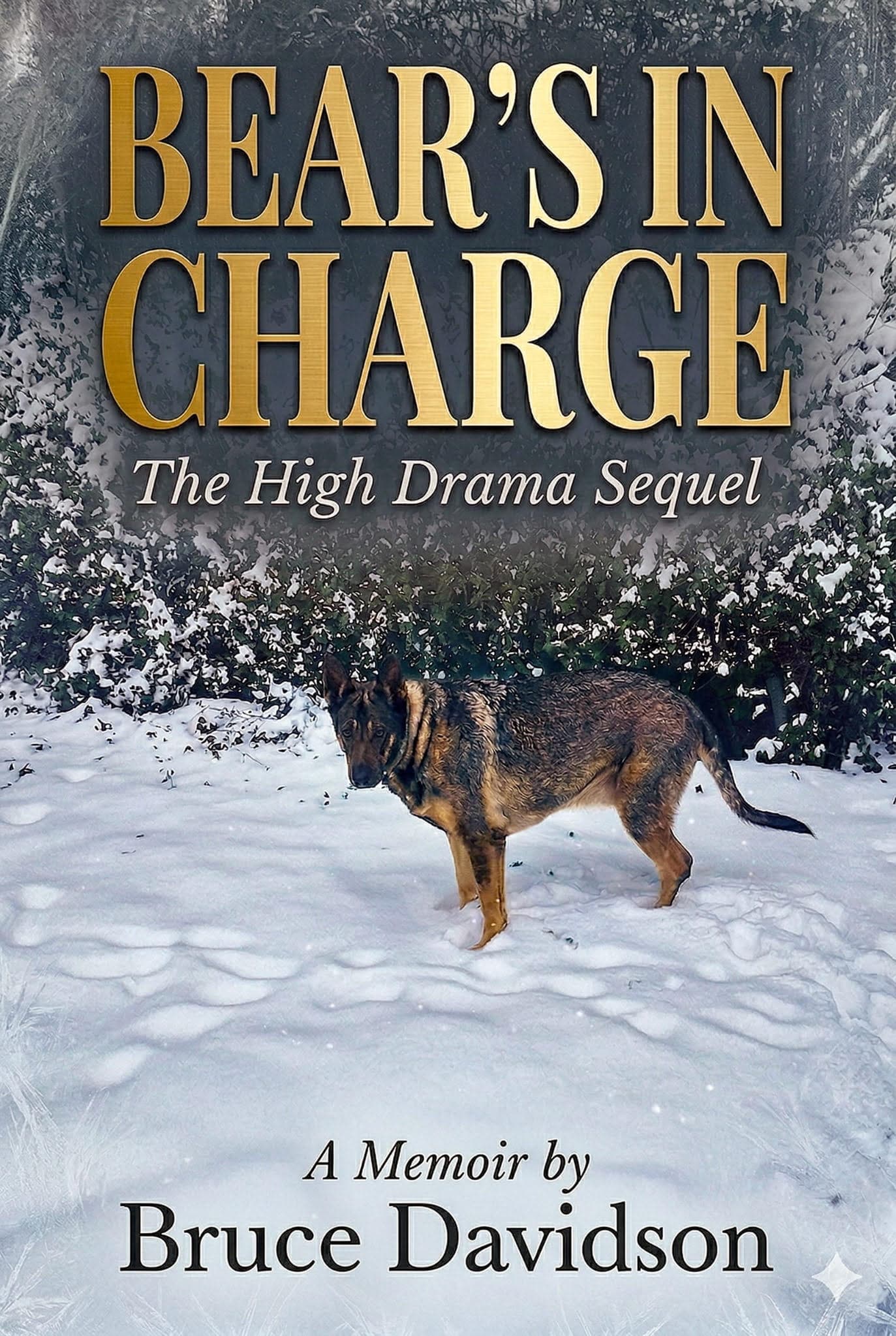 Bear's In Charge: The High Drama Sequel